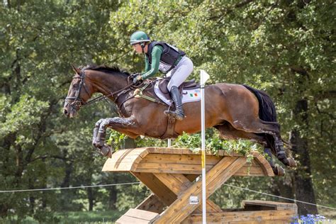 horses legs cross country.